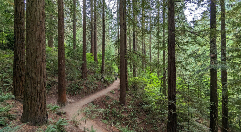 Oregon Trail Arboretum, United States